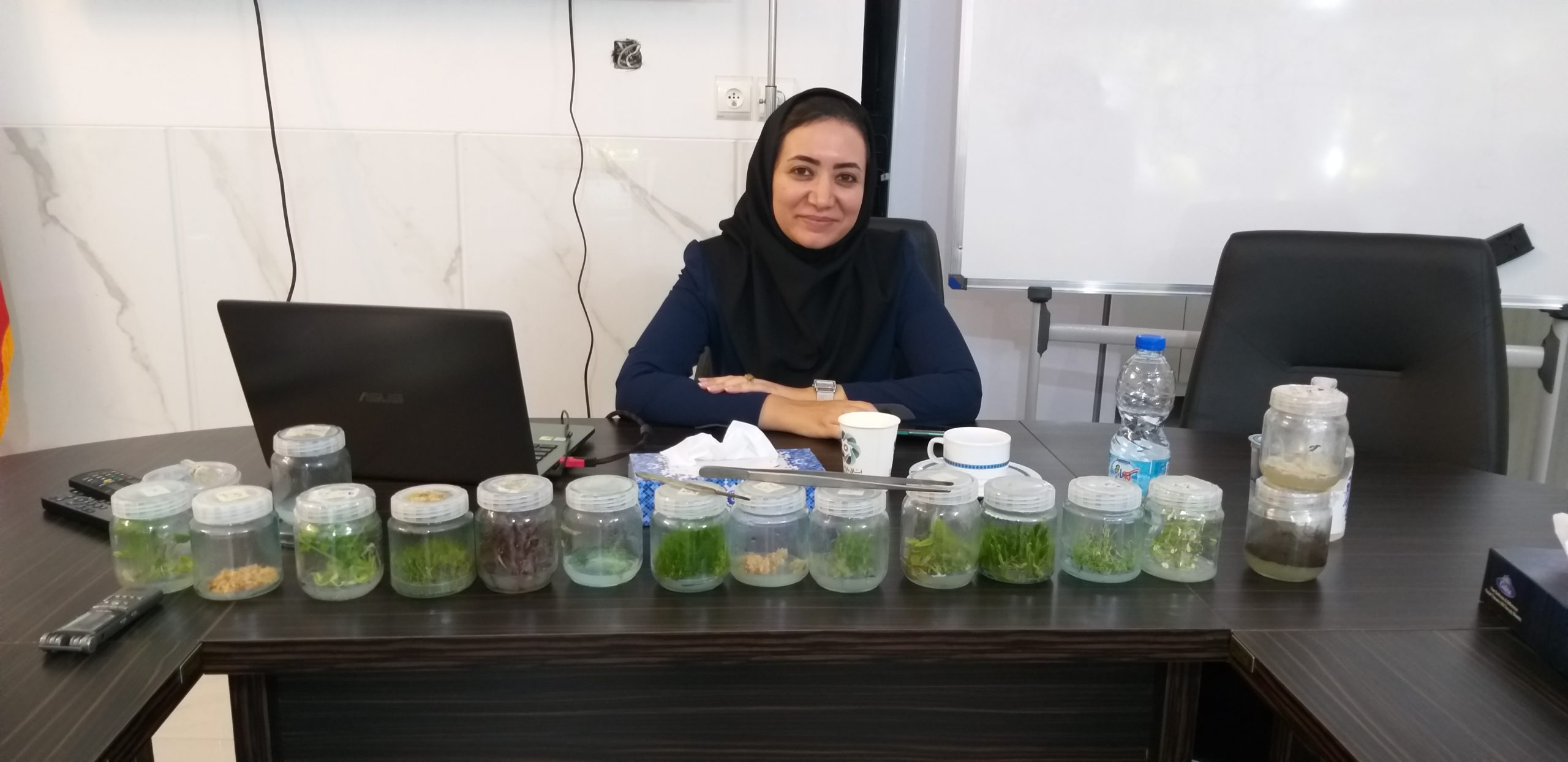 برگزاری رویداد آموزشی با عنوان کشت بافت در تولید نهال در دفتر نمایندگی خوانسار