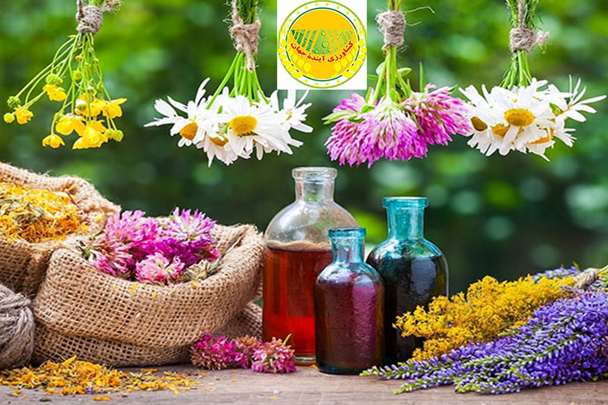 گزارش نشست ملی هاب گیاهان دارویی